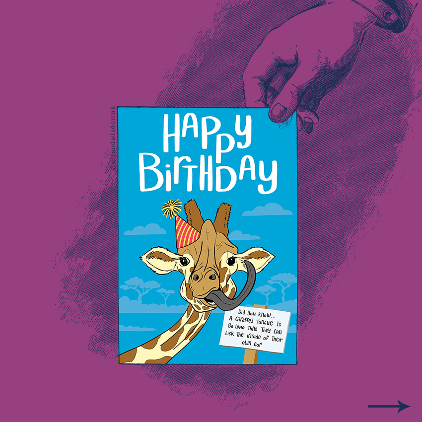 Drawing of hand holding a blue birthday card with an illustration of a giraffe in a party hat licking its own ear from the Wit and Wisdom party animal card collection