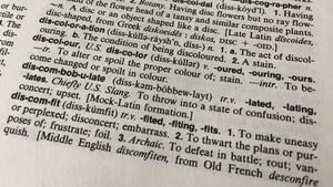 My Favourite Word: Discombobulated
