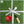 Cricket Pitch Wrapping Paper